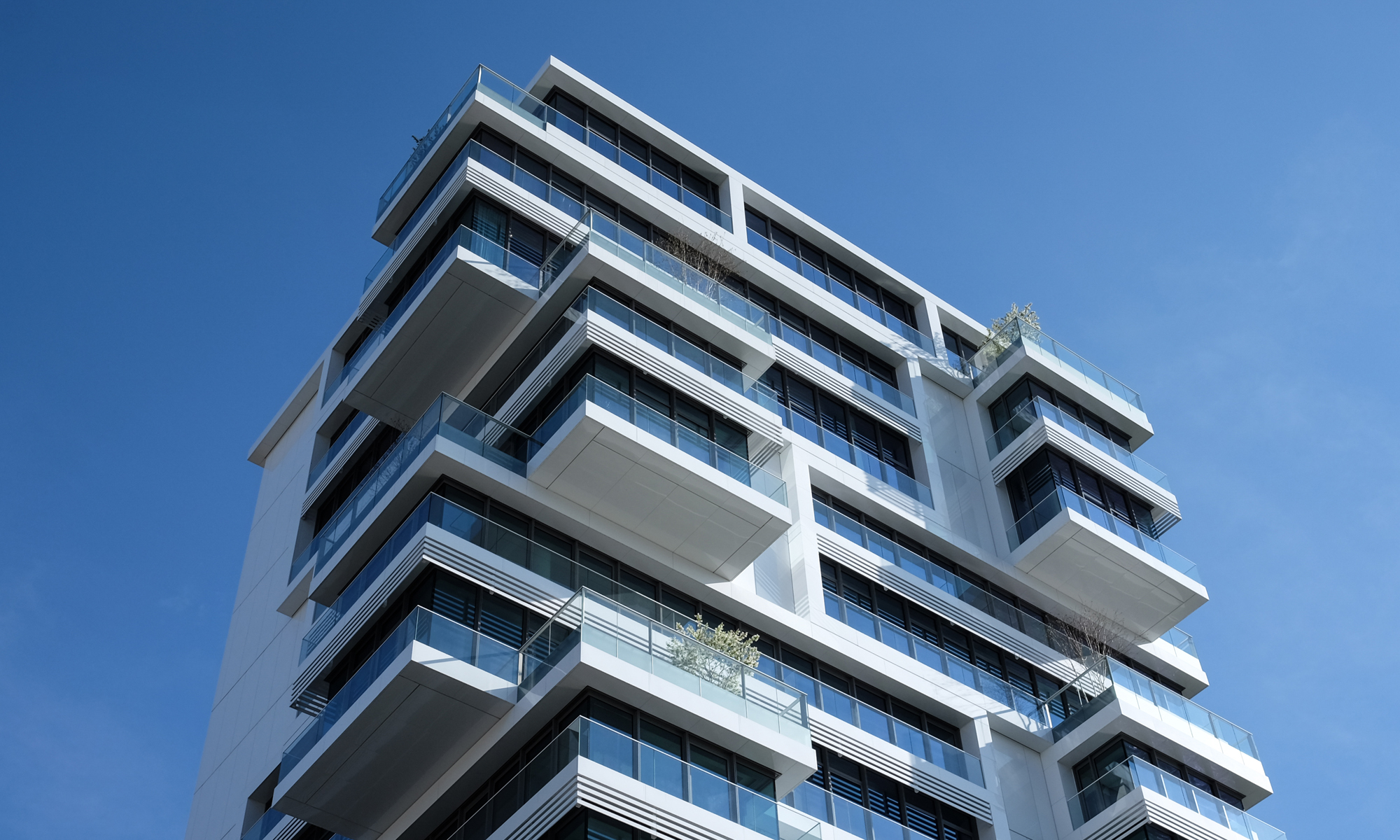 Cumpărați ca rentă viageră gratuită sau rentă viageră ocupată?